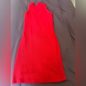 Lightly Used Small red mock neck sleeveless mini dress with back zipper